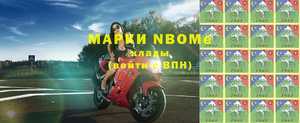 прущие грибы Ростов