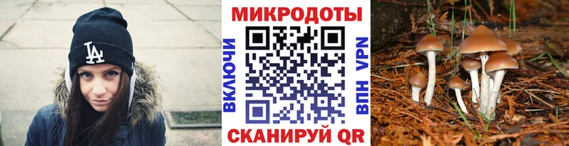 где можно купить   площадка наркотические препараты  Галлюциногенные грибы Psilocybe  Калач  кракен вход 